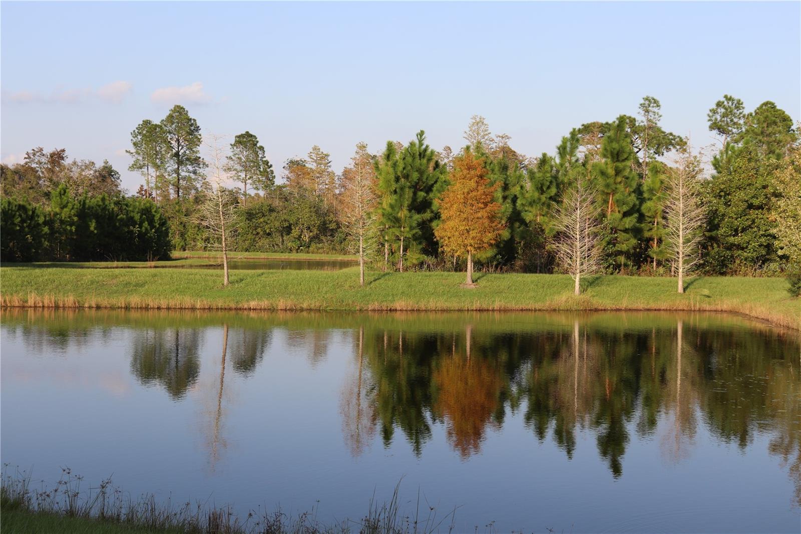 One of Many Common Area Ponds