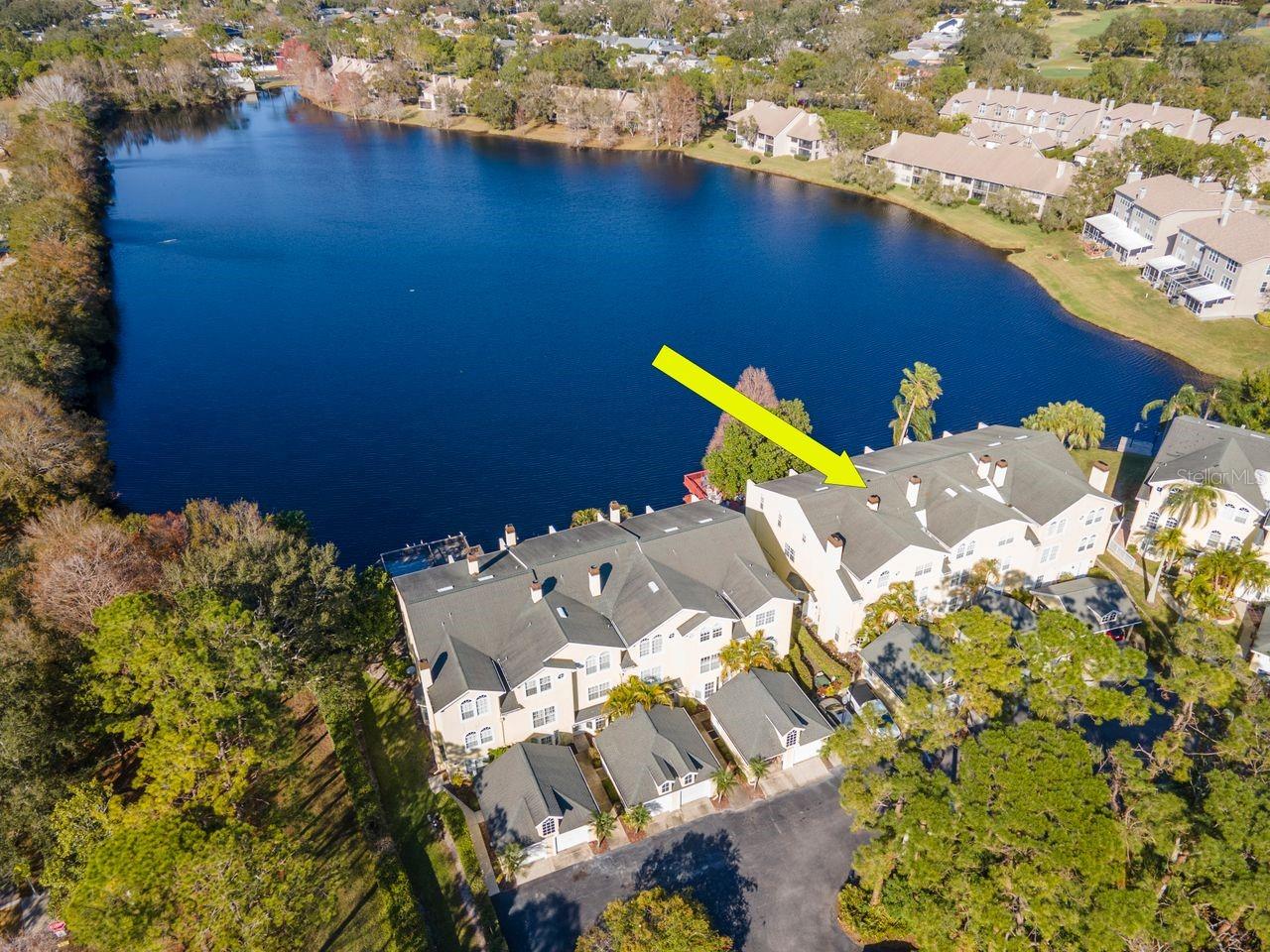 Aerial view of pond.