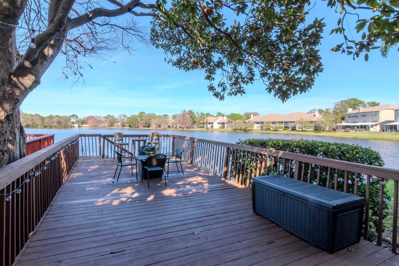 View of pond from dock/deck.