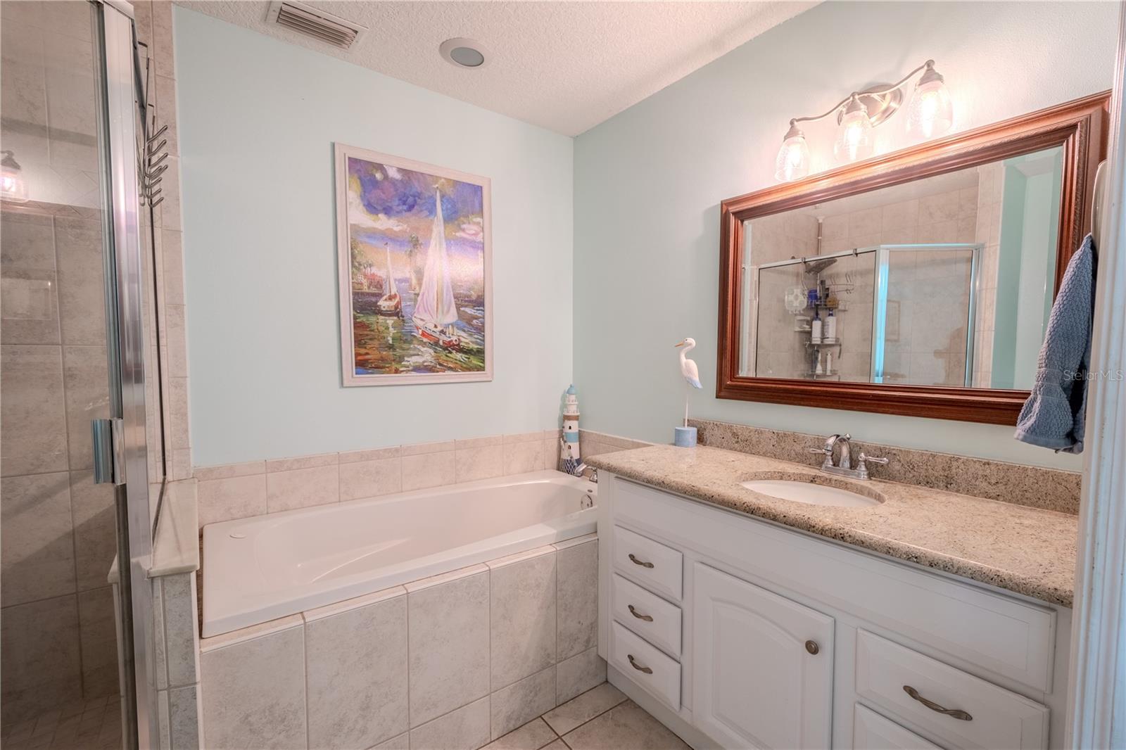 The primary bathroom features a mirrored vanity with storage and downlight fixture, and a jetted tub.