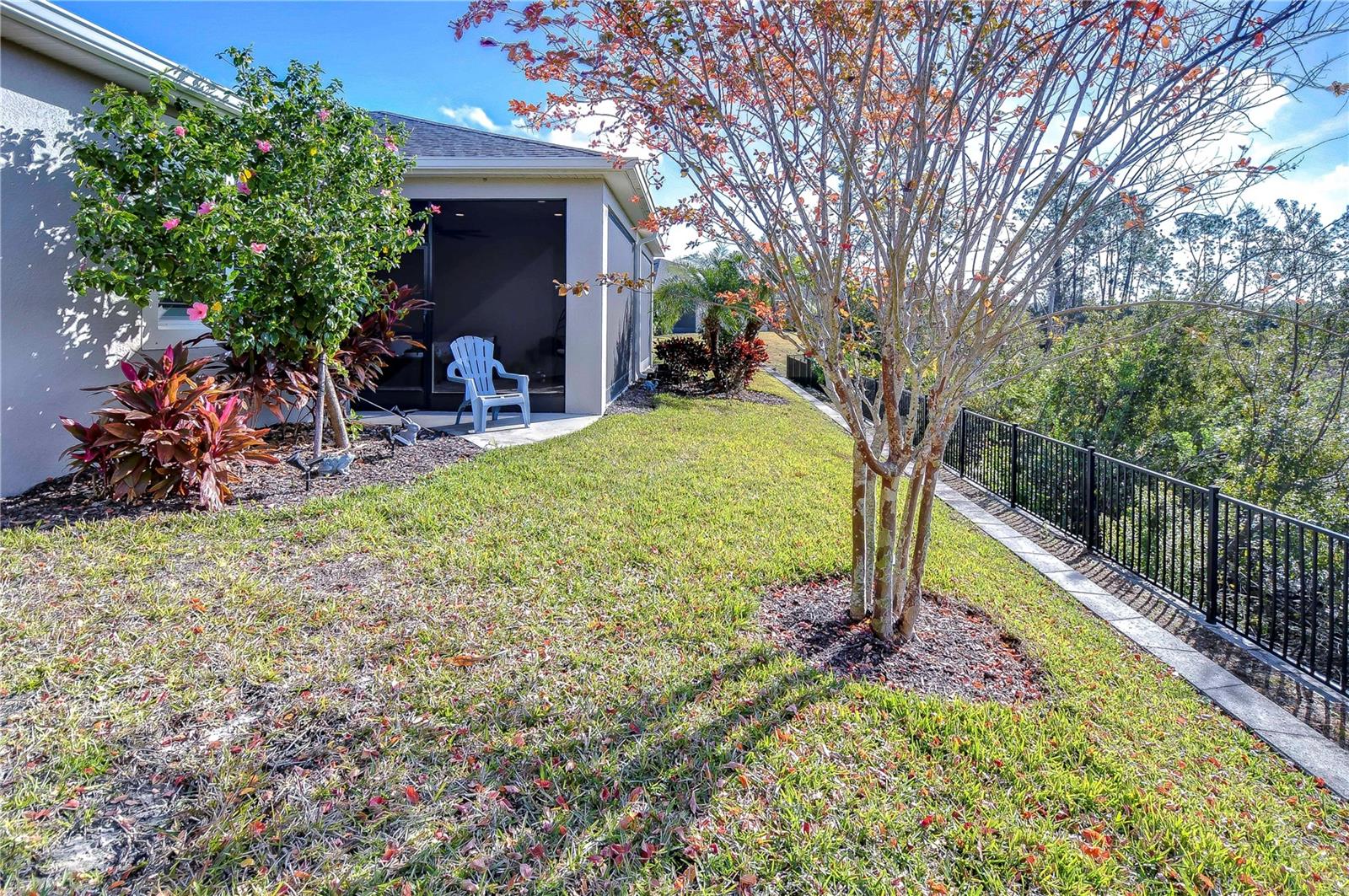 Backyard space for the kids or dogs!