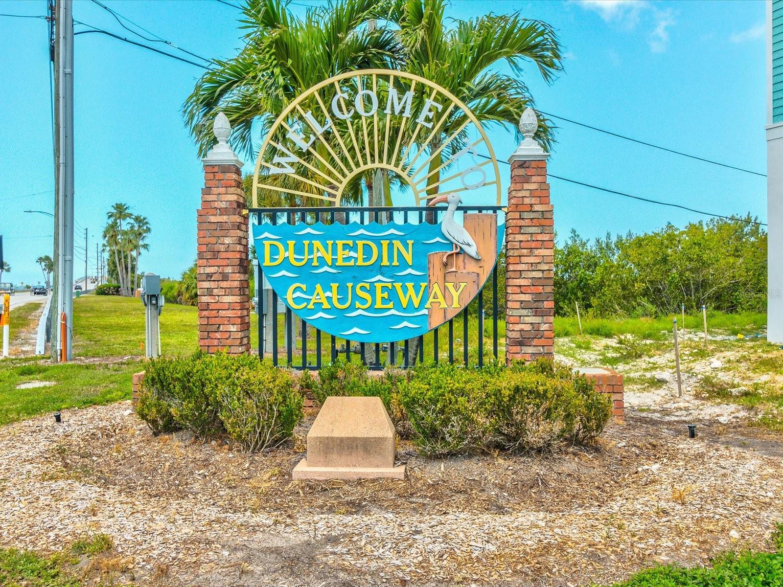 Hang out on the Dunedin Causeway and watch the Sunsets!