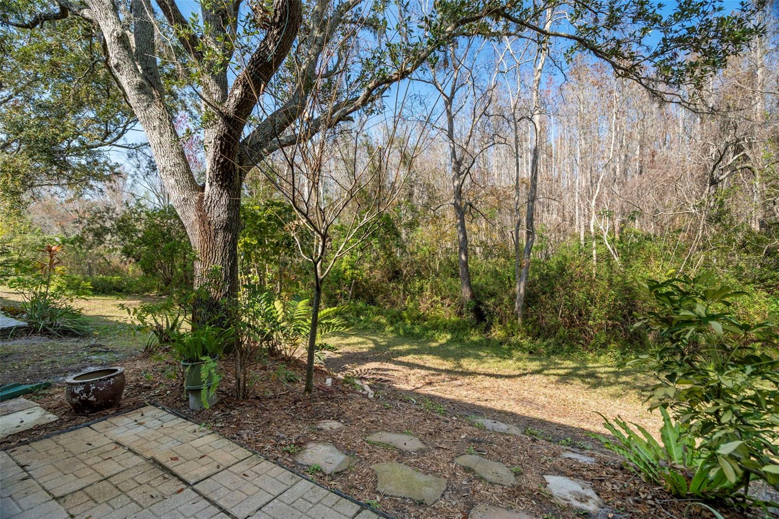 View from back porch.