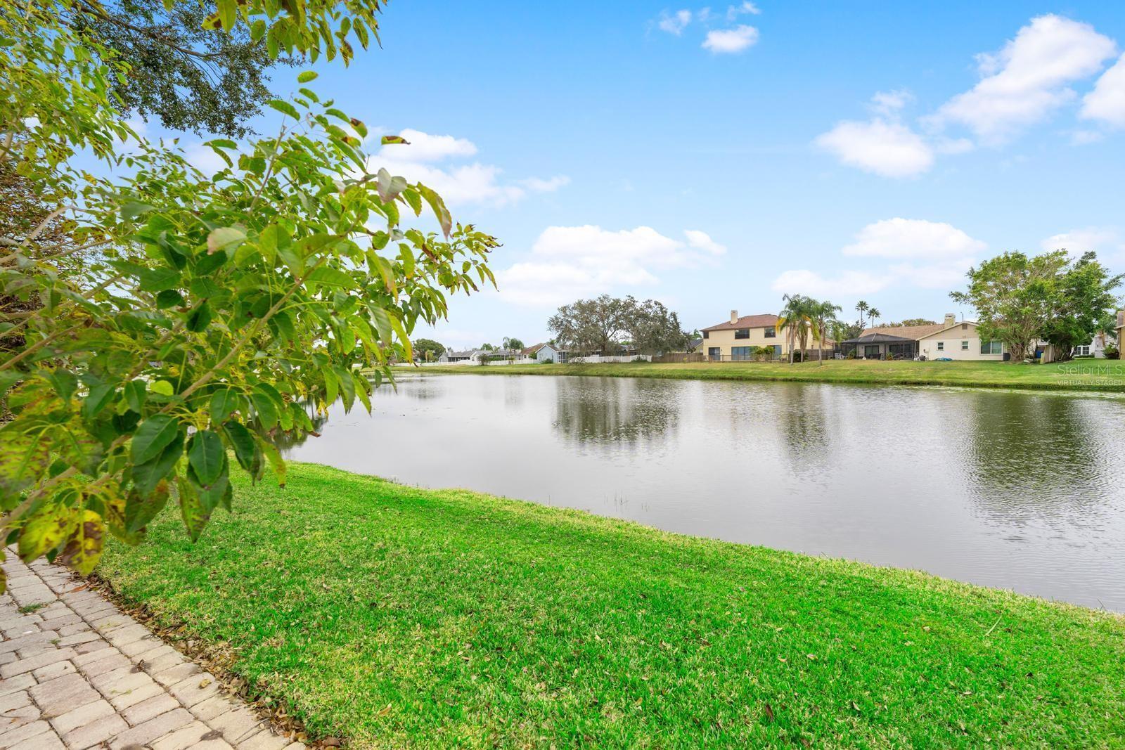 pond view/virtually staged