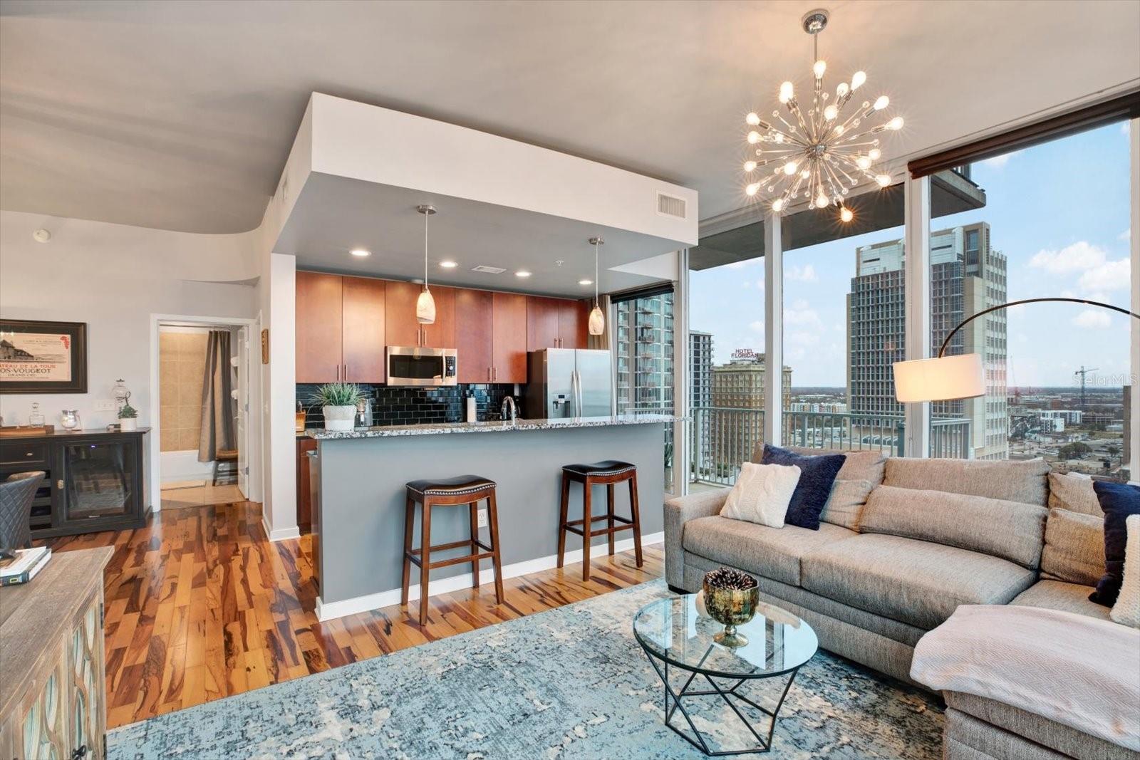 Living room and kitchen