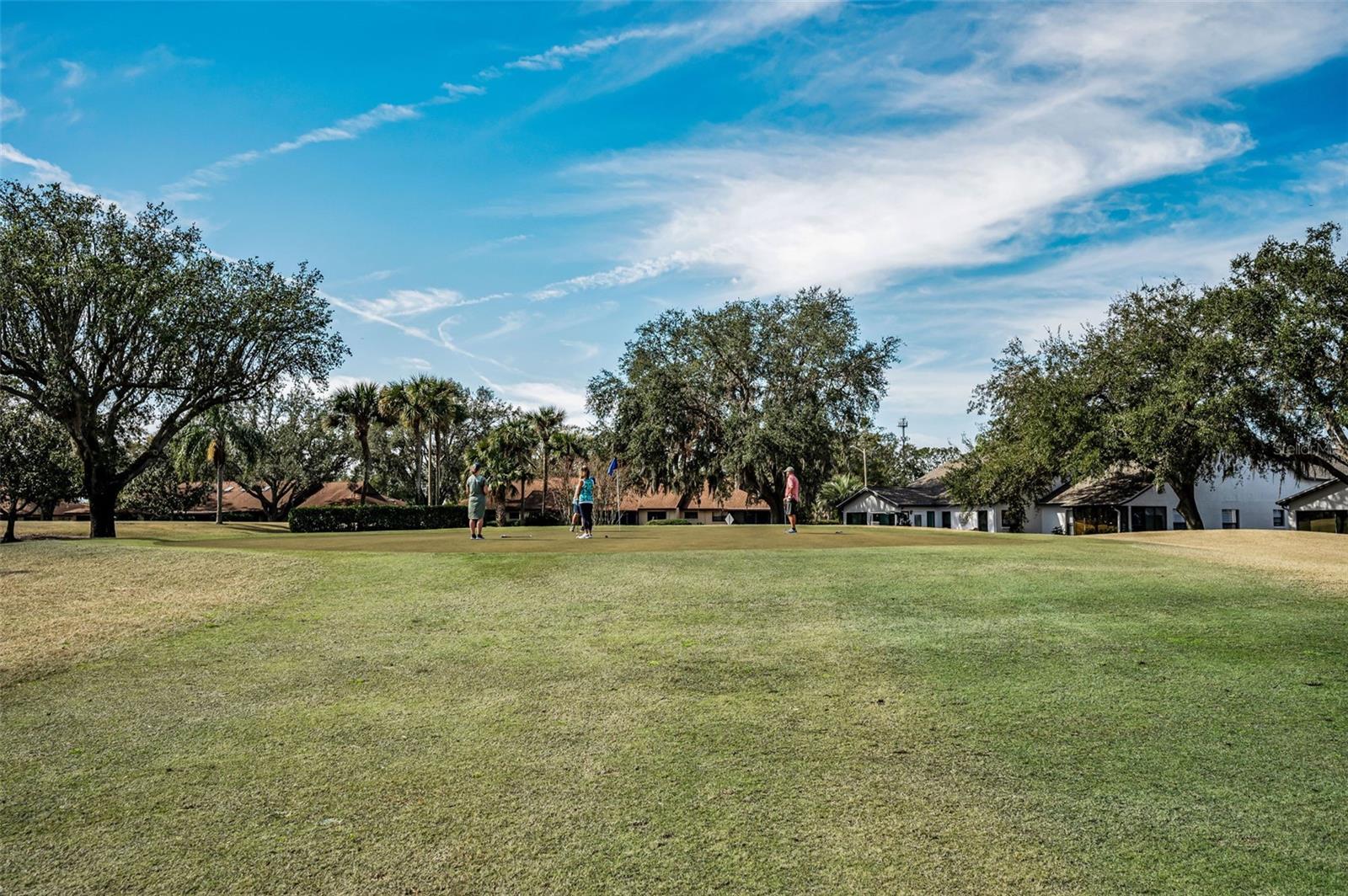 Golf Course Aerial