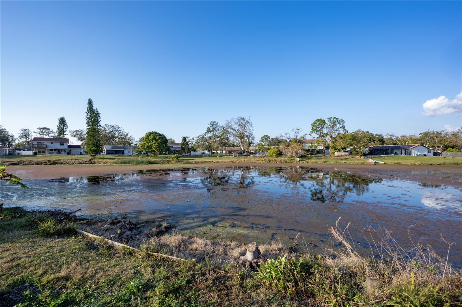 Large POND enjoying fishing and pedal boats!