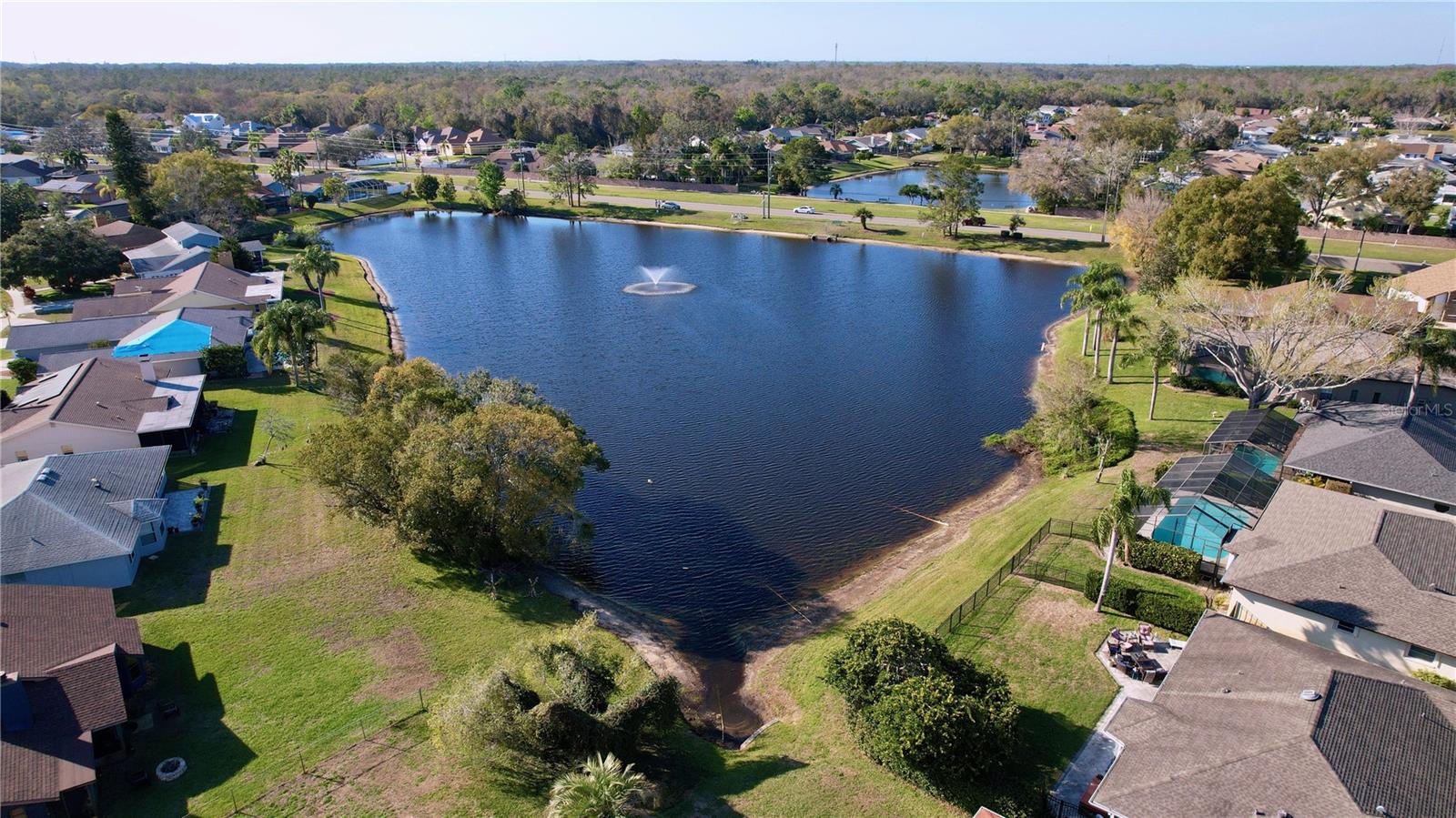 Pond Water View