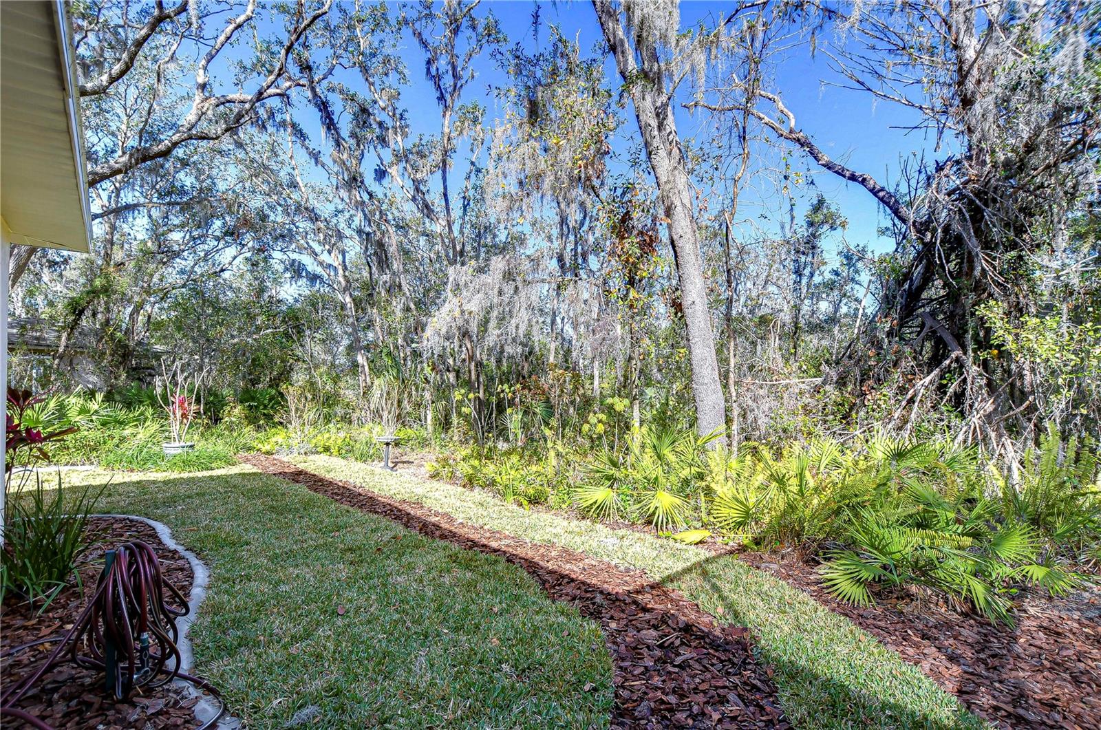 Additional backyard space!