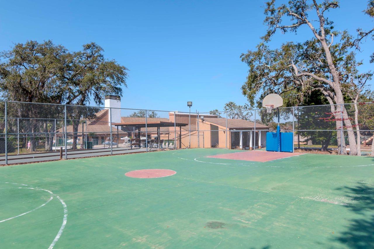 Basketball Court