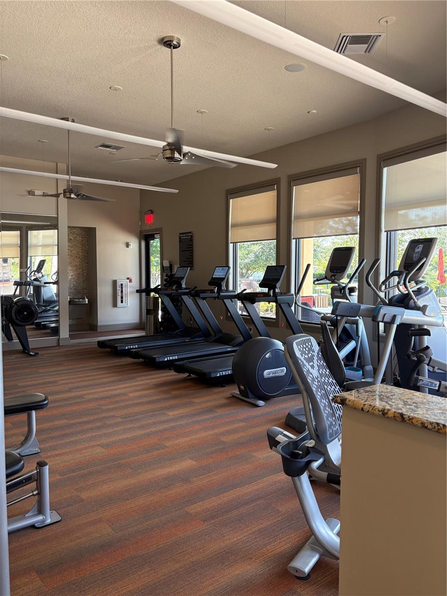 Gym 1