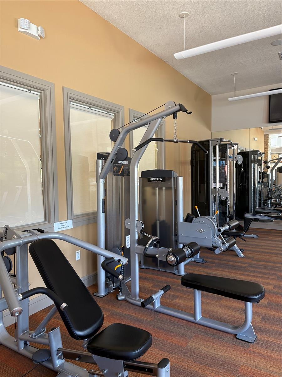 Gym 2