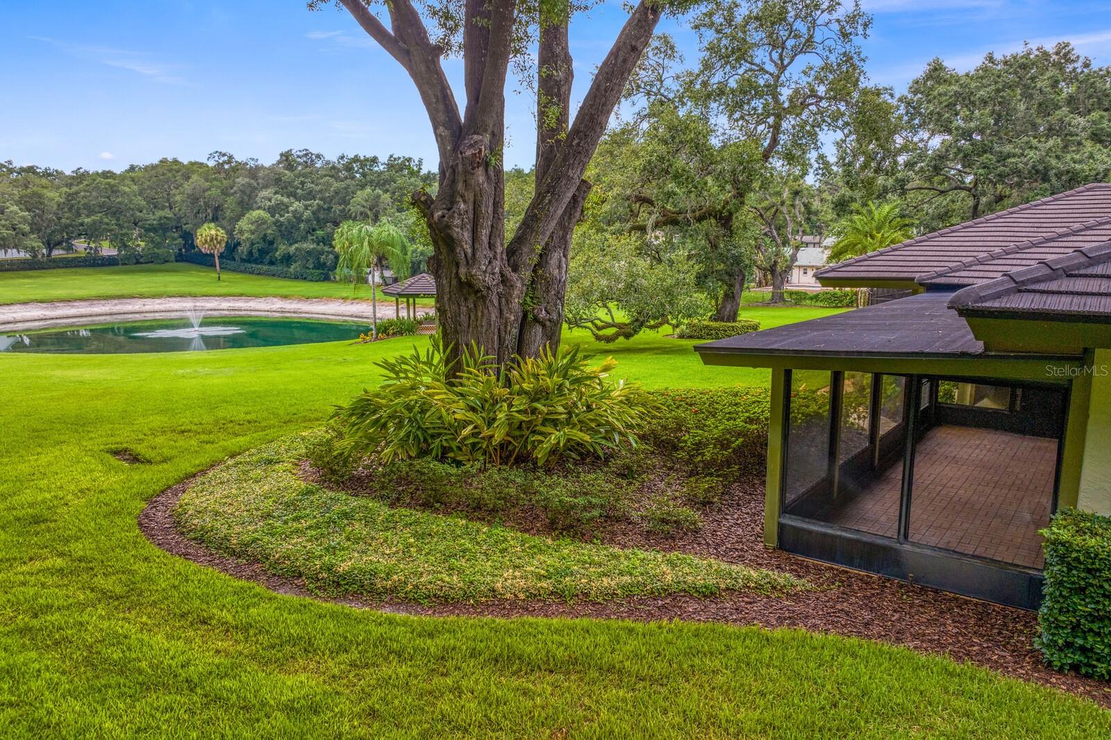 Stunning mature trees grace the property!