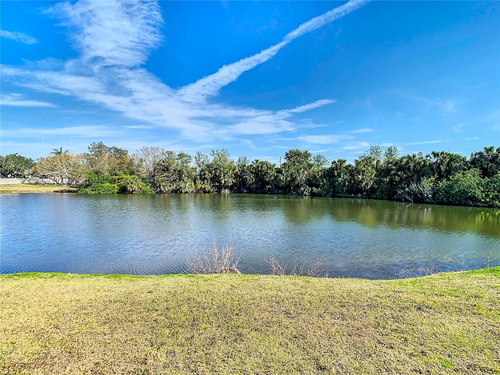 Breathtaking Views from your backyard