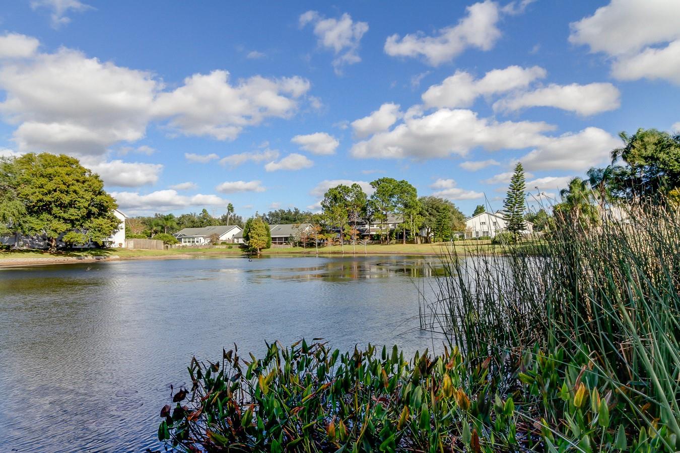 63. Brookfield is a Lovely Community.. You'll See Multiple Lakes, Excellent Florida - Style Landscaping & Sidewalks Everywhere with Walkers Walking All Over the Place! Get Those Steps IN!