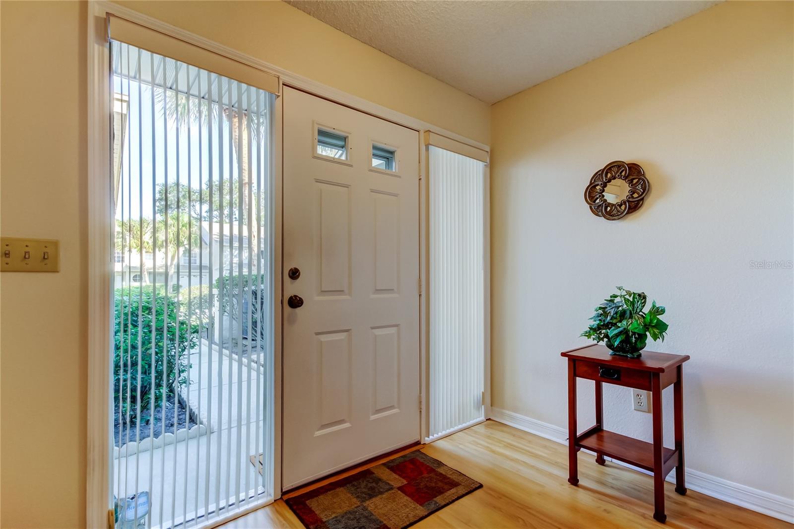 19. Foyer (8.5' x 9.1') Features HUGE Sidelights to Allow Natural Light to Flow In..