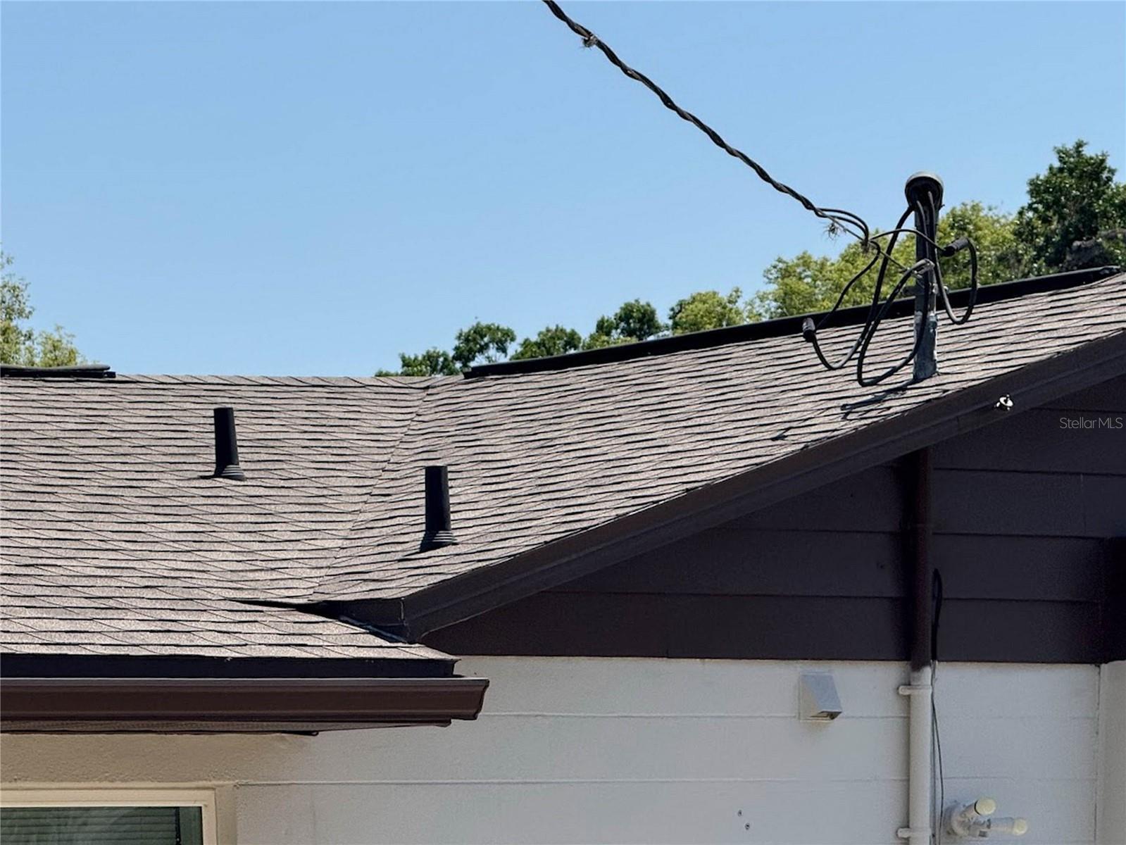 New roof shots