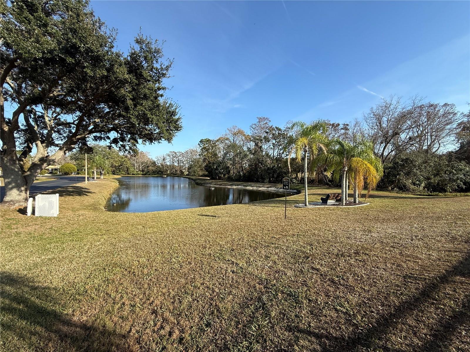 Tranquil community pond