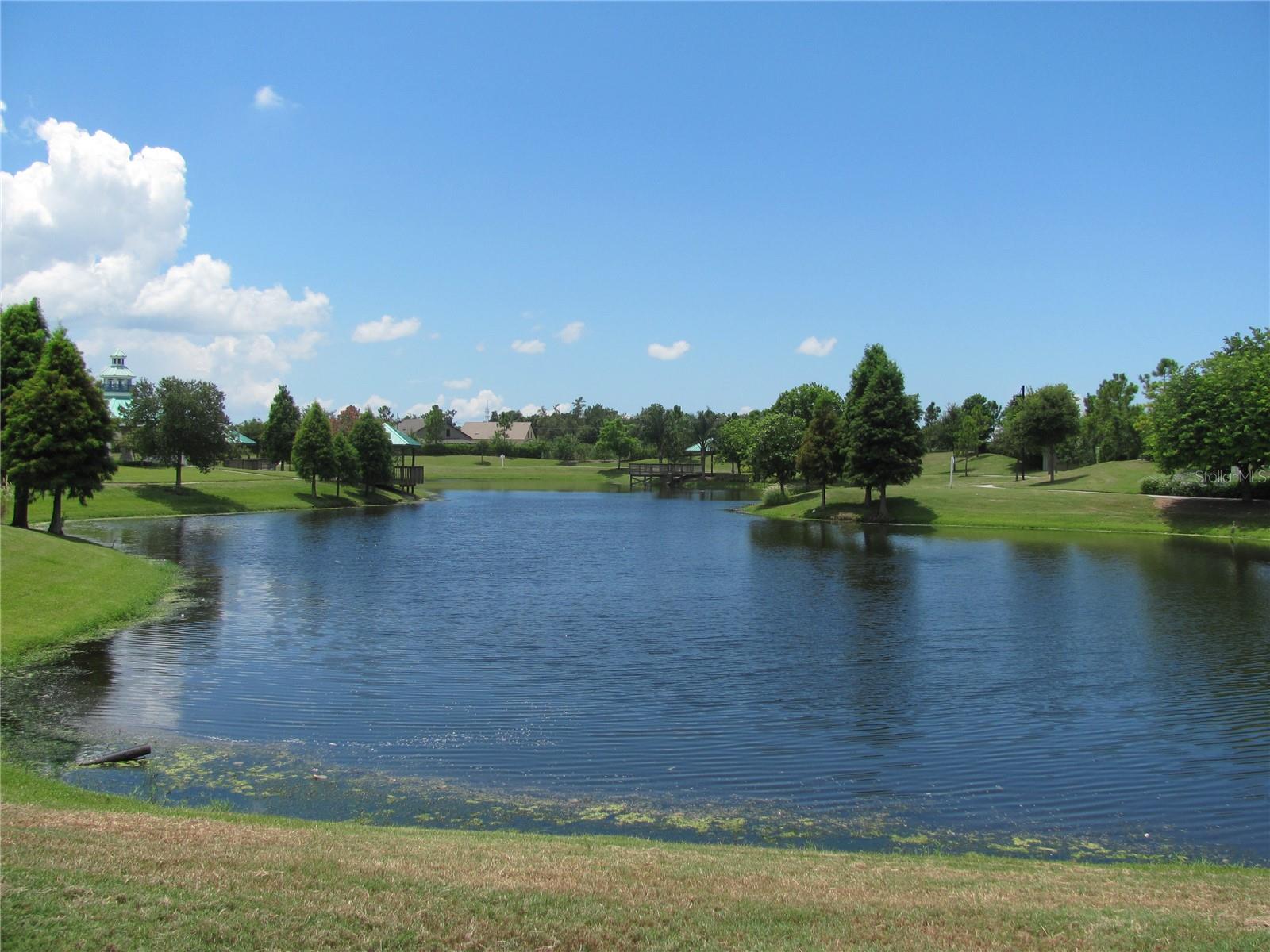 Pond behind pool with walking trails.