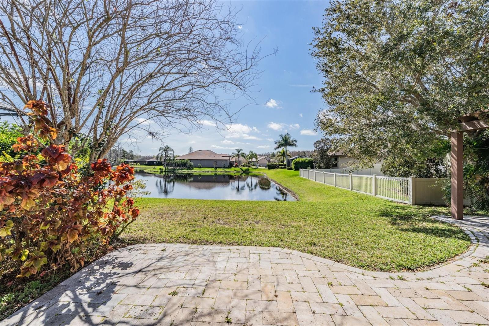 Fabulous pond view