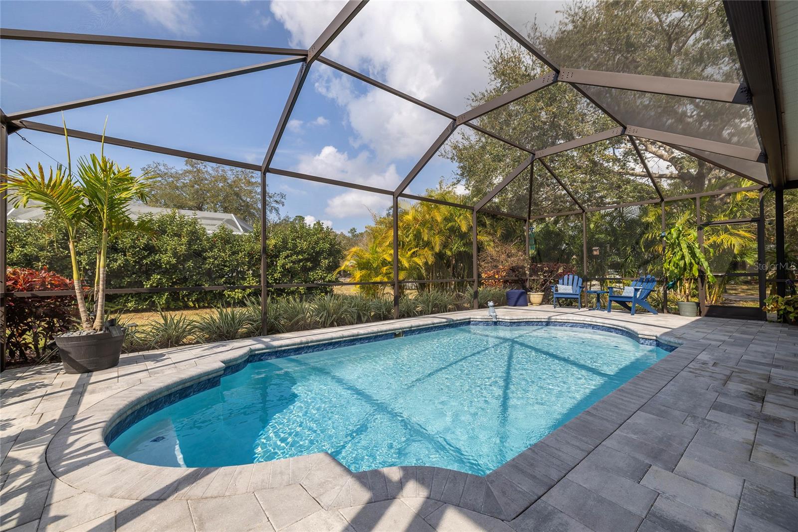 Heated Saltwater Pool with new pavers