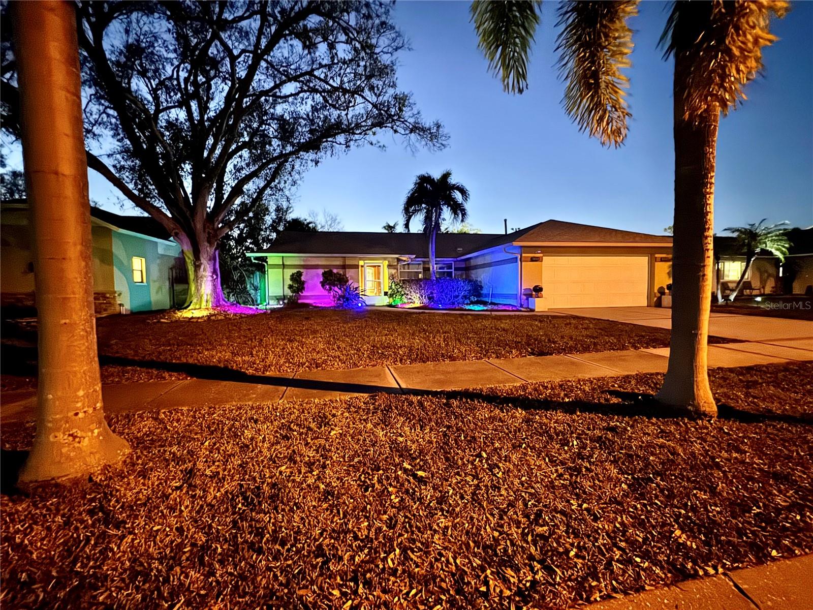 LED lights in the front yard.