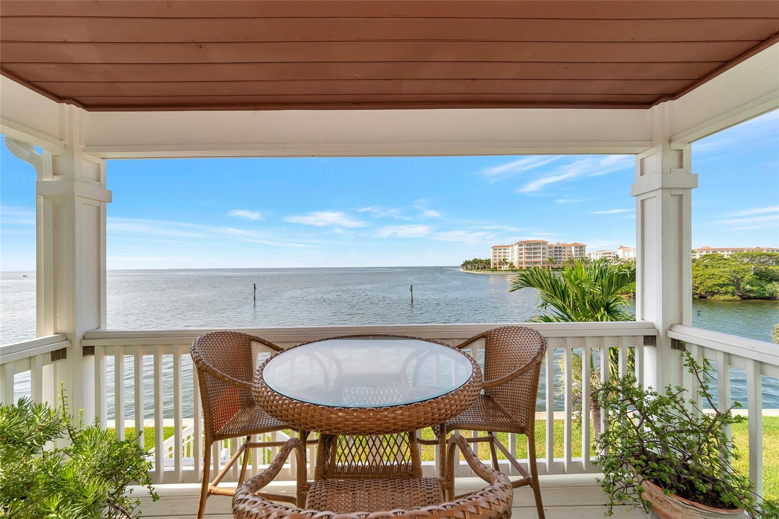 Patio overlooking Tampa Bay