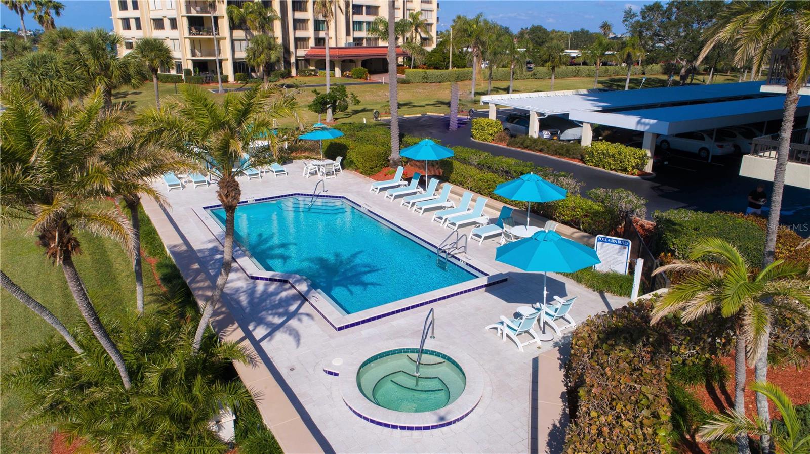 Pool and Backyard