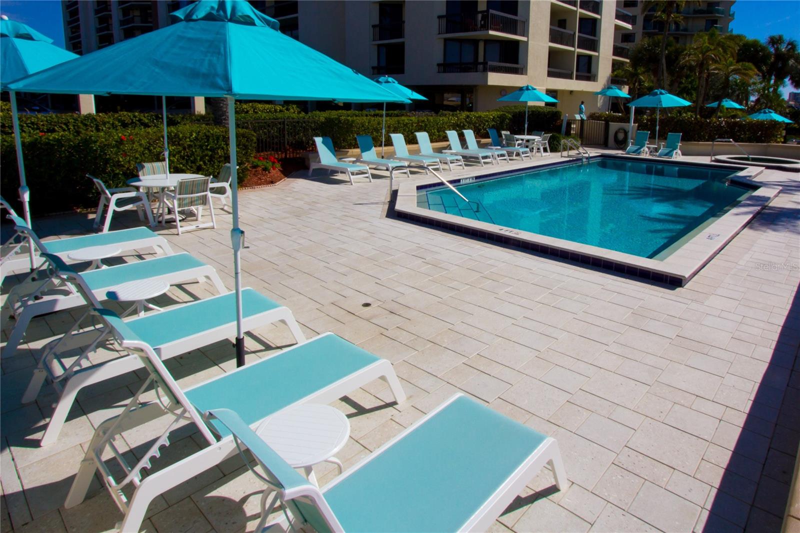 Pool and Backyard