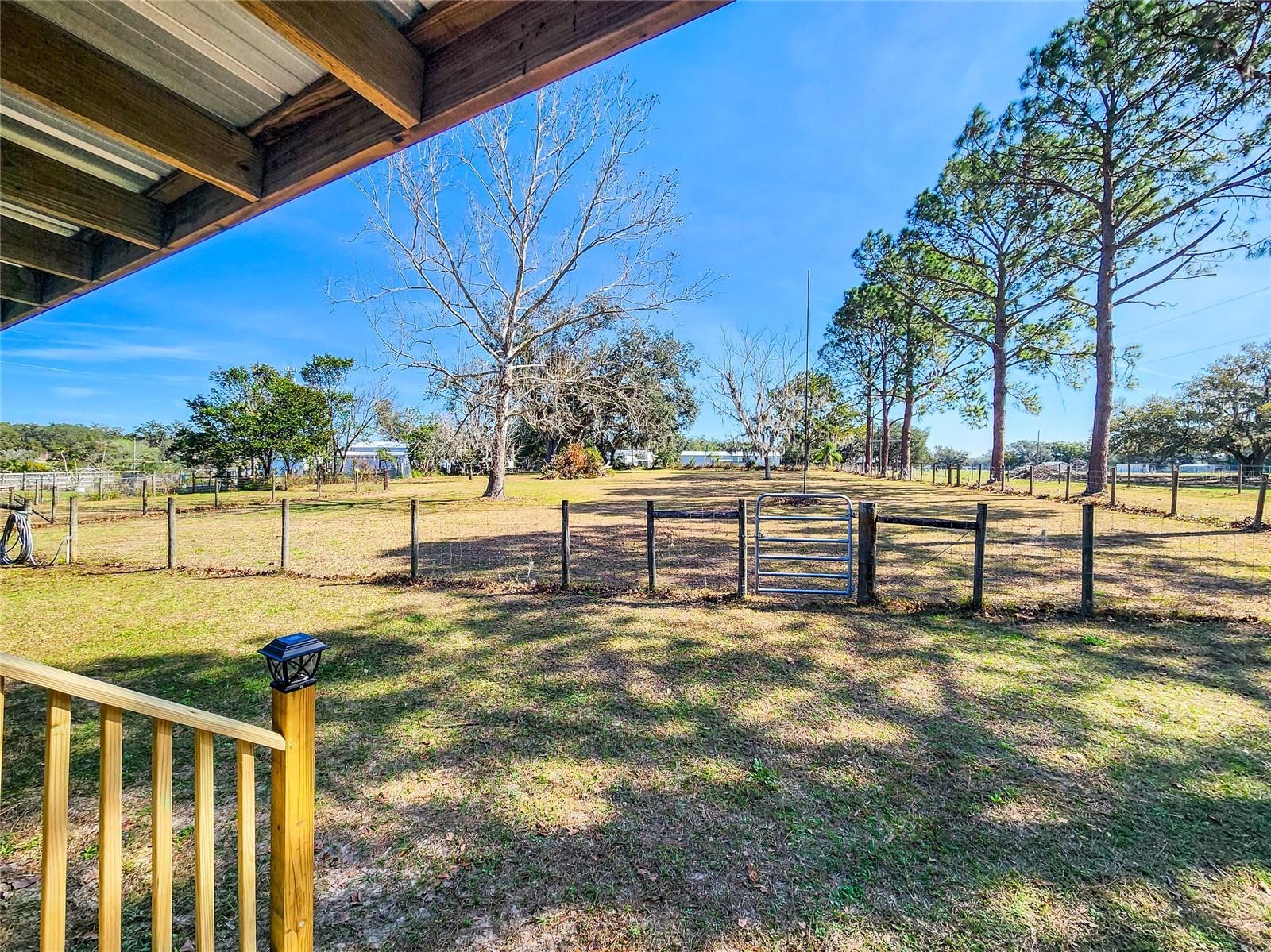 Front Porch View of Paddocks