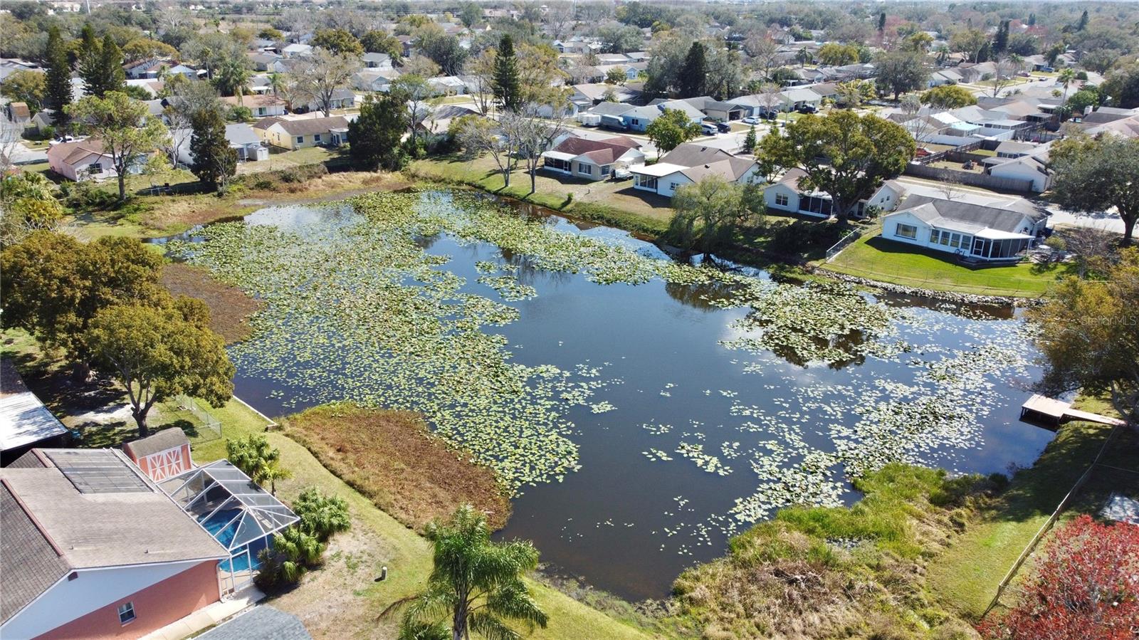 Aerial of pond