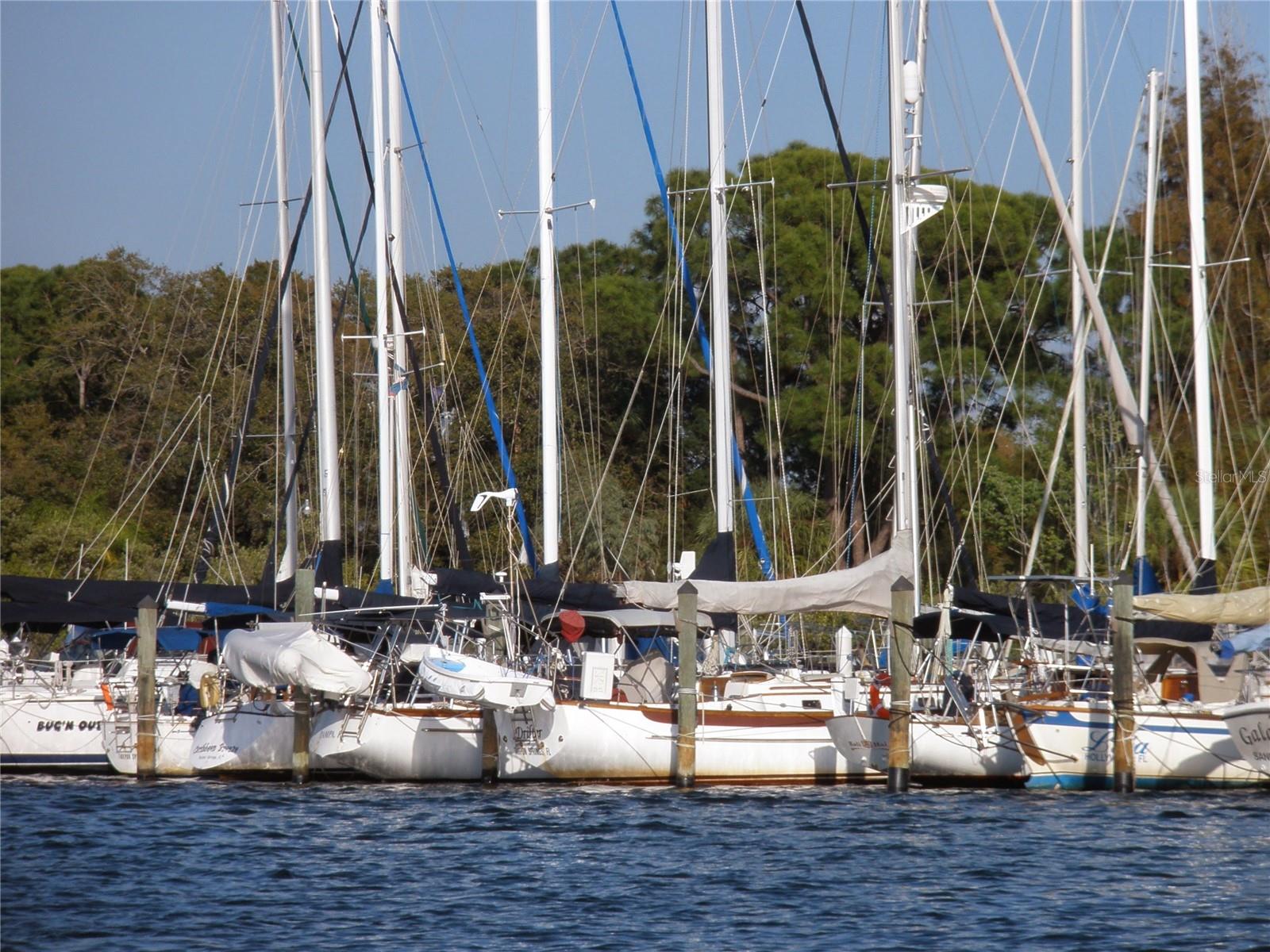 Beautiful Sailboats at the Marina