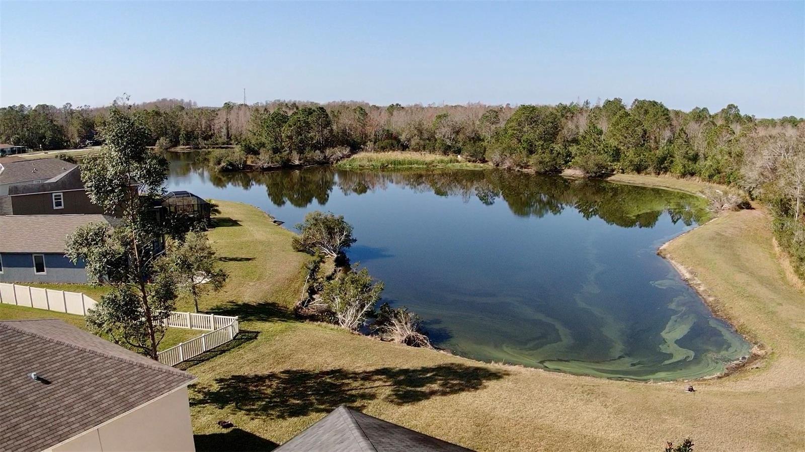 Aerial of Backyard Pond