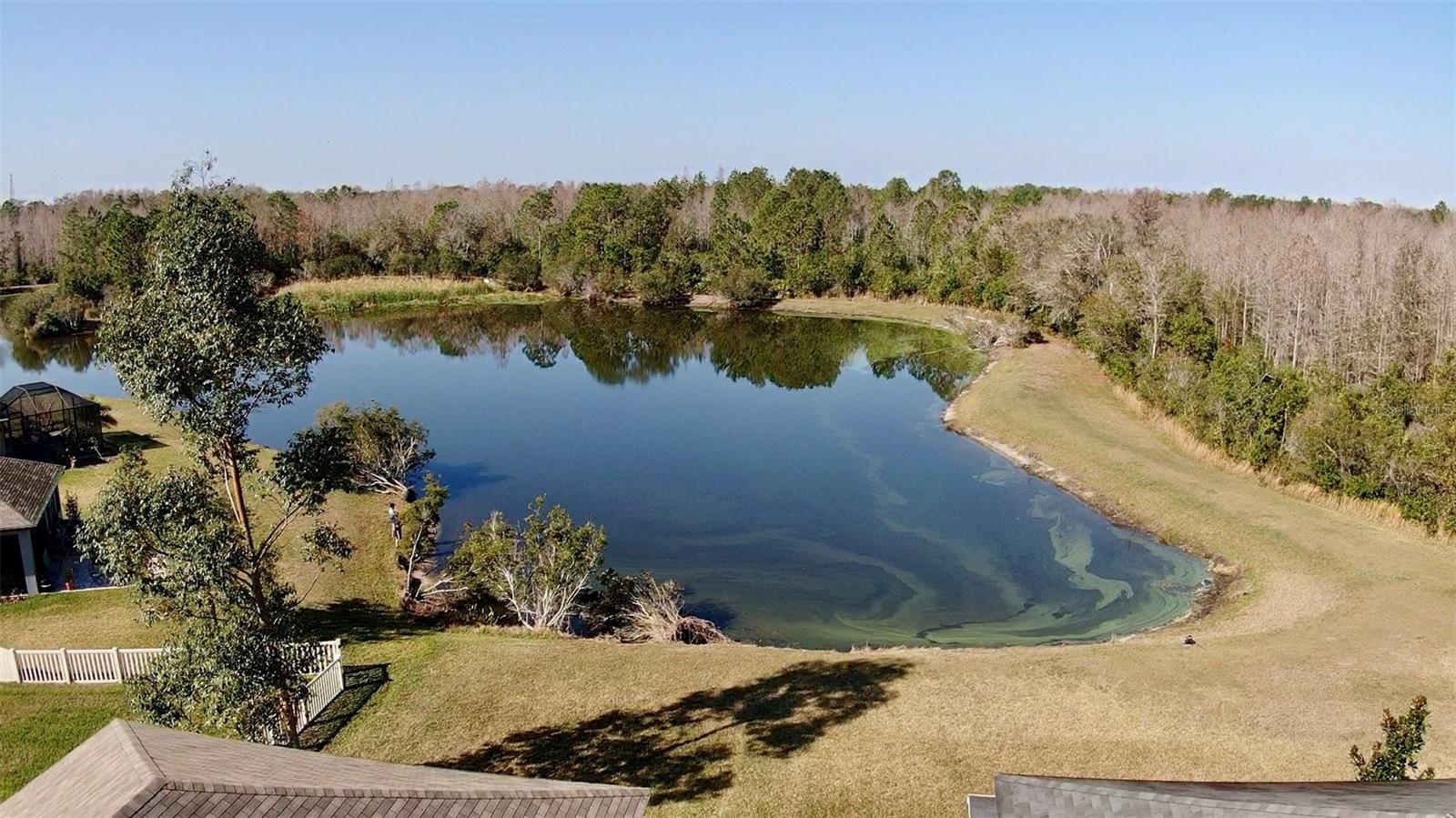 Aerial of Backyard Pond