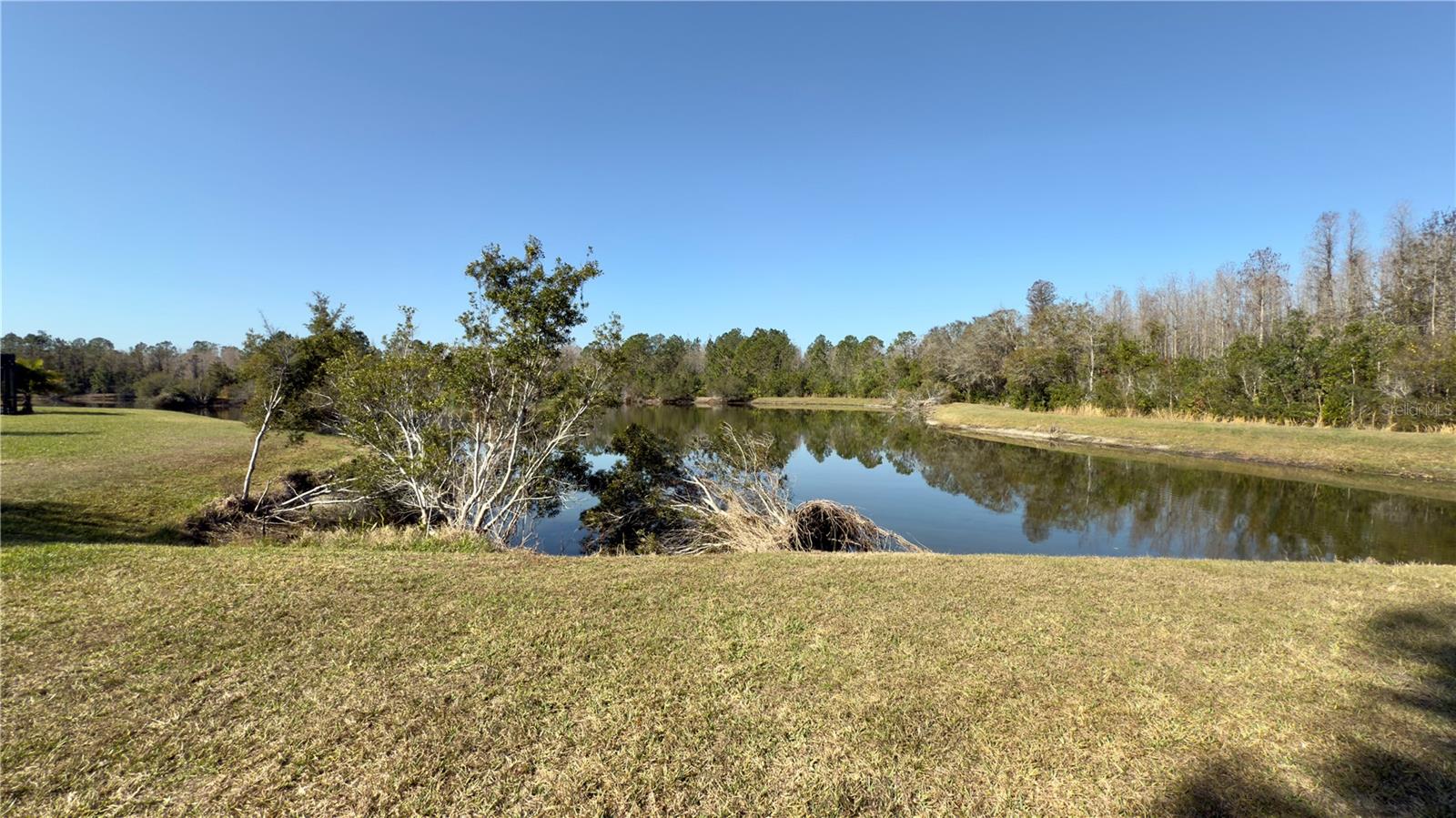 Back yard view of Pond