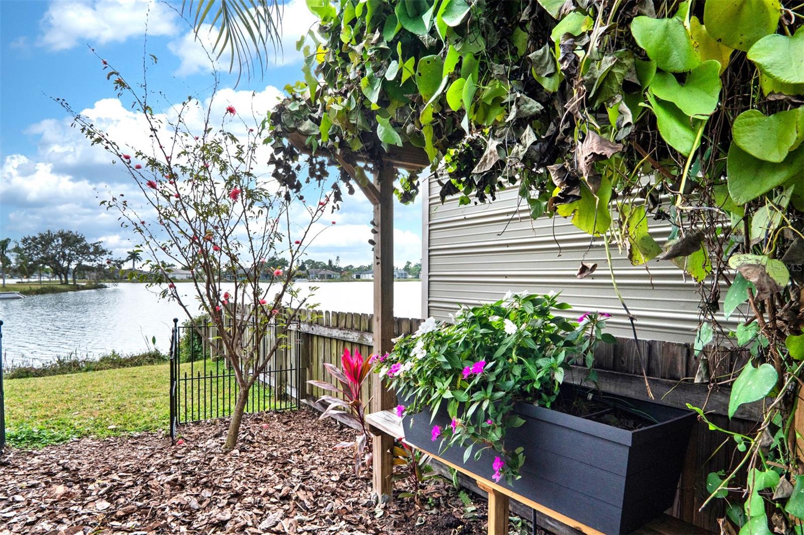 Lushly Landscaped Dog Run