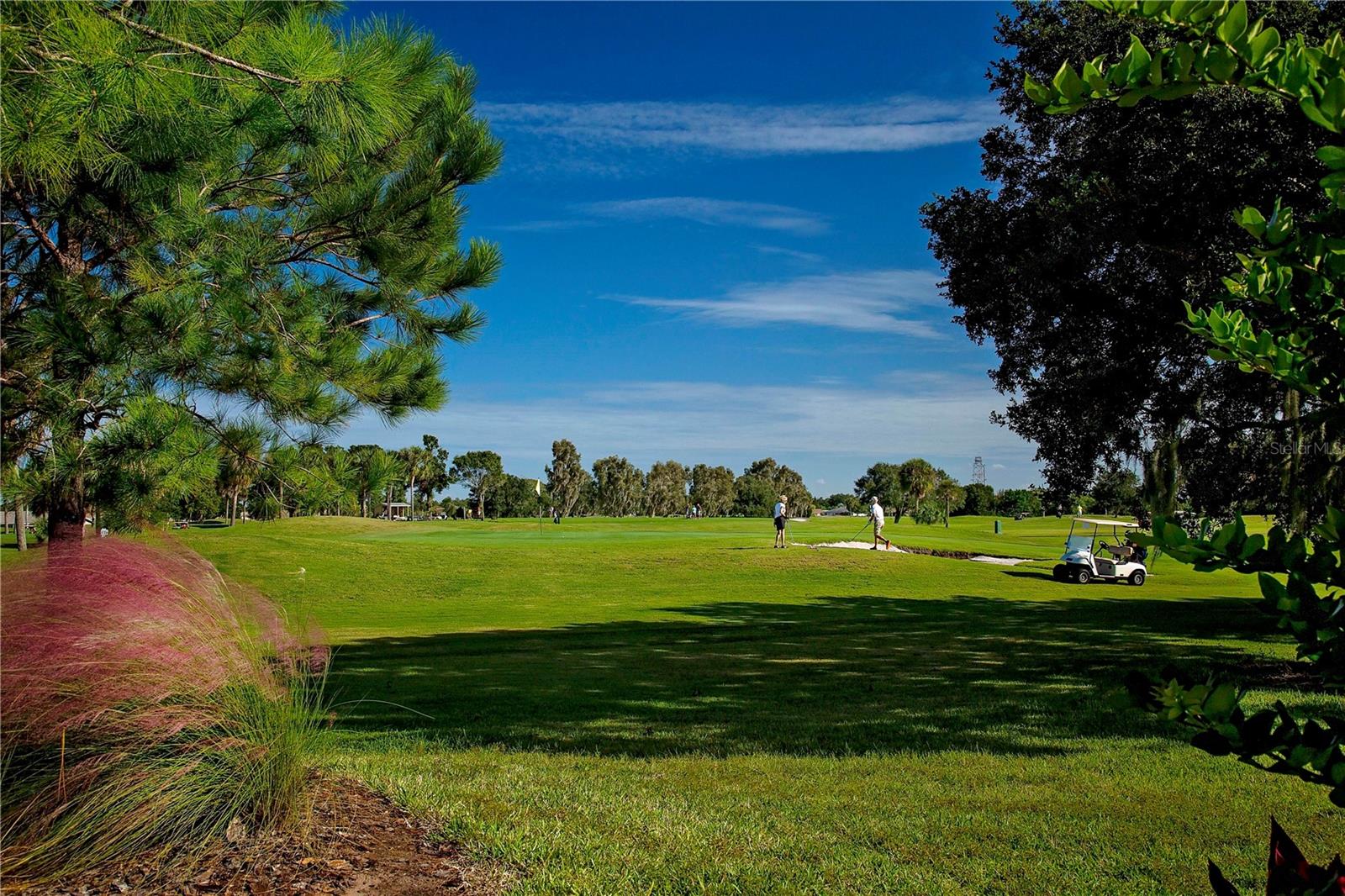 Golfing in Sun City Center