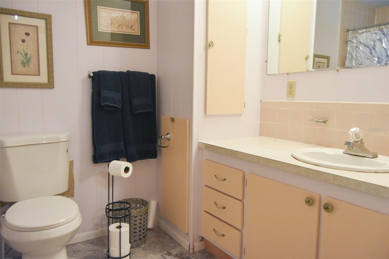 Primary bathroom with tub and shower