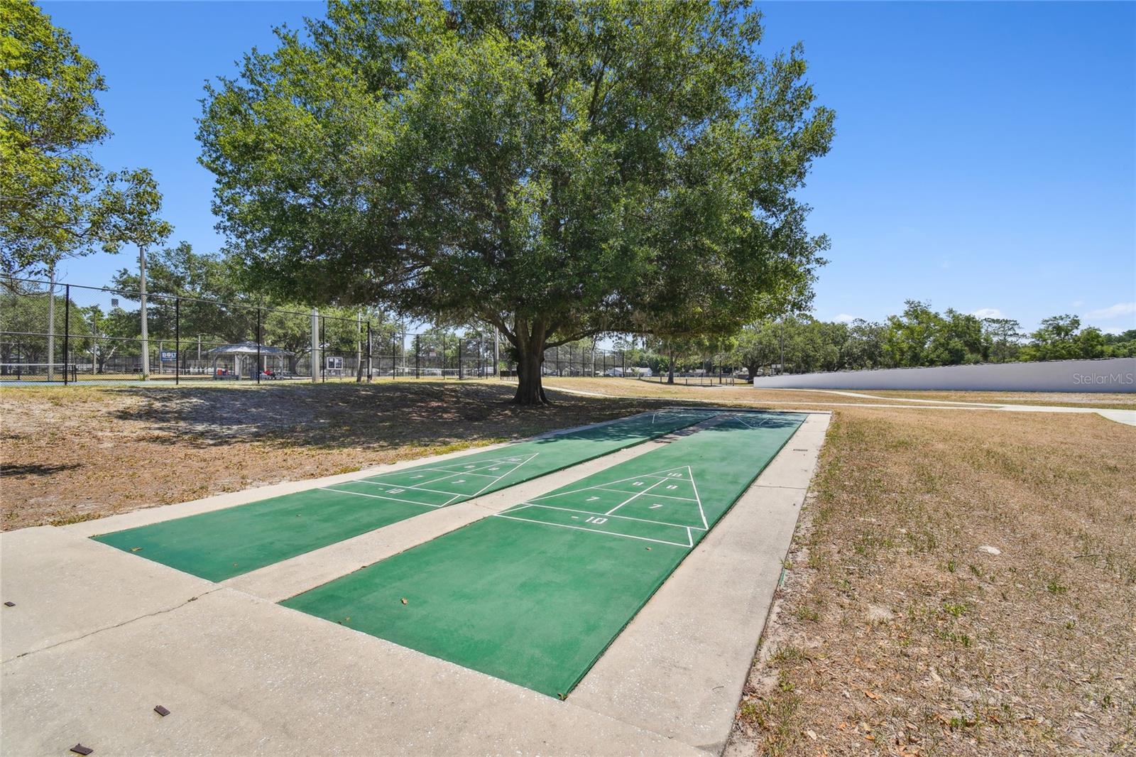 Shuffleboard