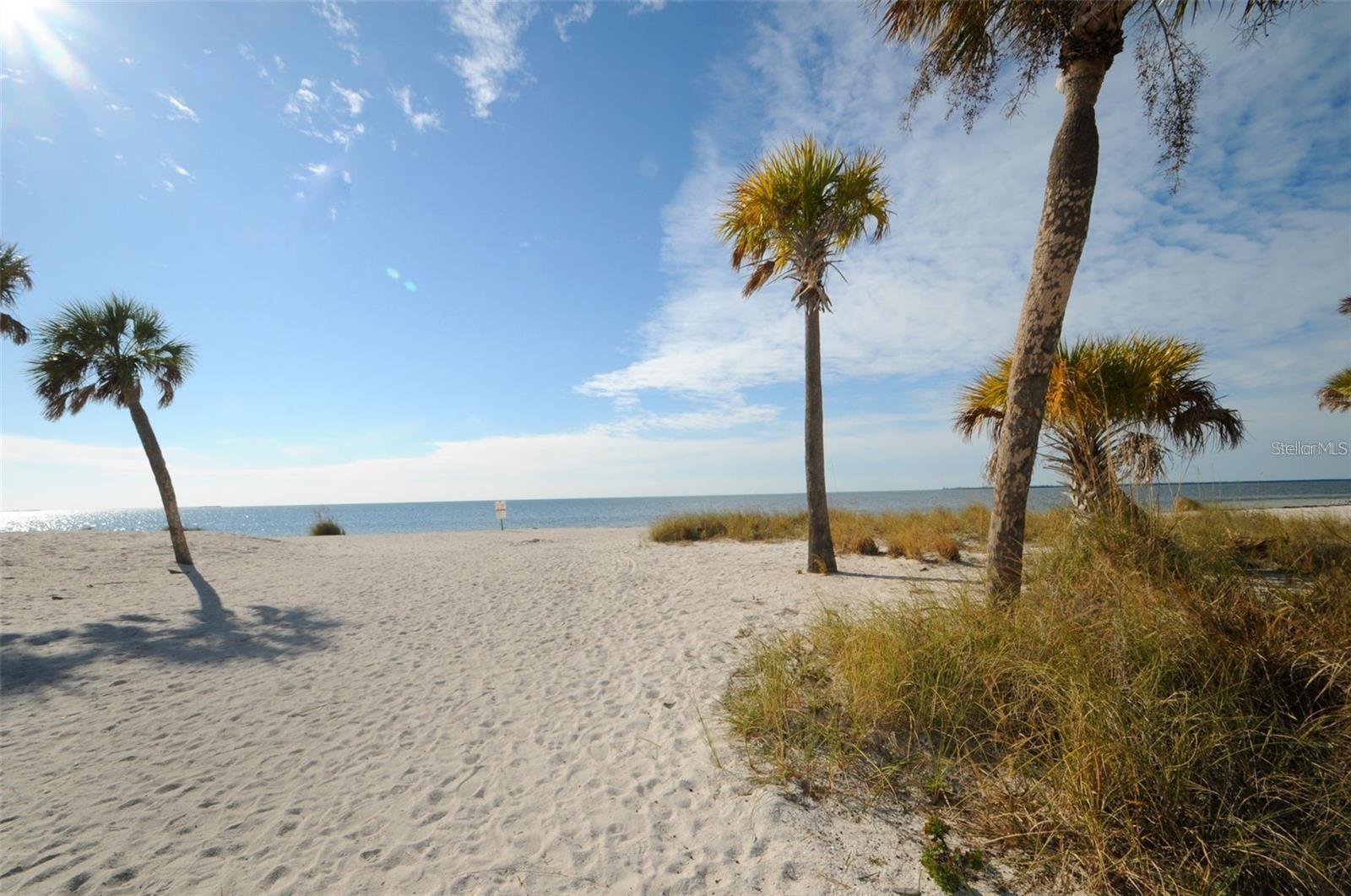 Fred Howard Park Beach