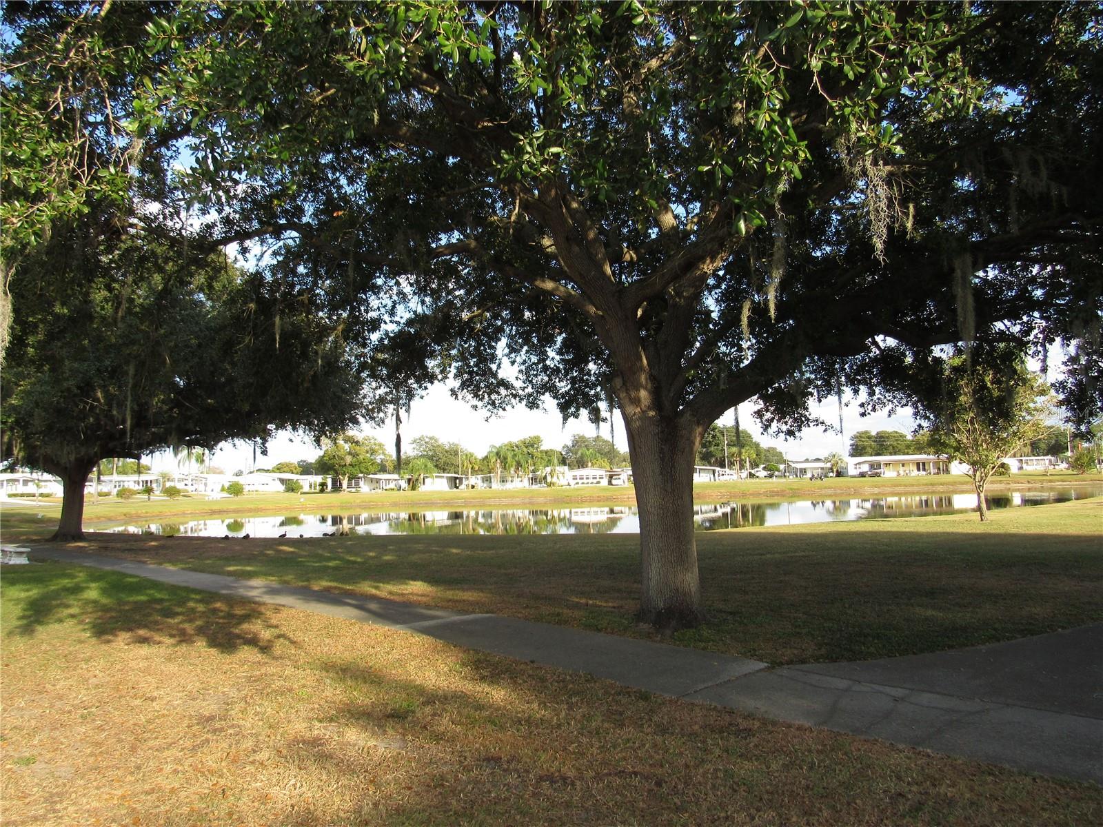 Betmar main pond.