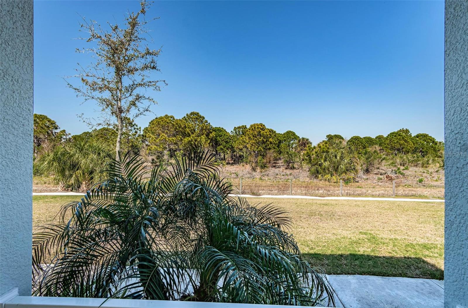 View of the Preserve from the front porch. There is a walking trail as well and lots of wildlife encounters.