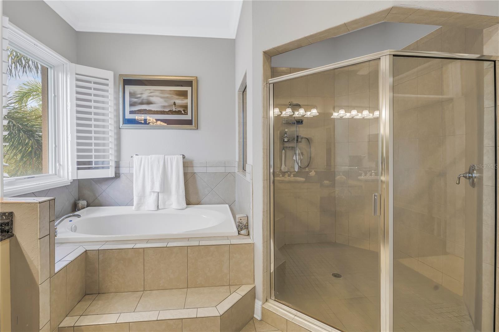 Spa like soaking tub and glass enclosed shower