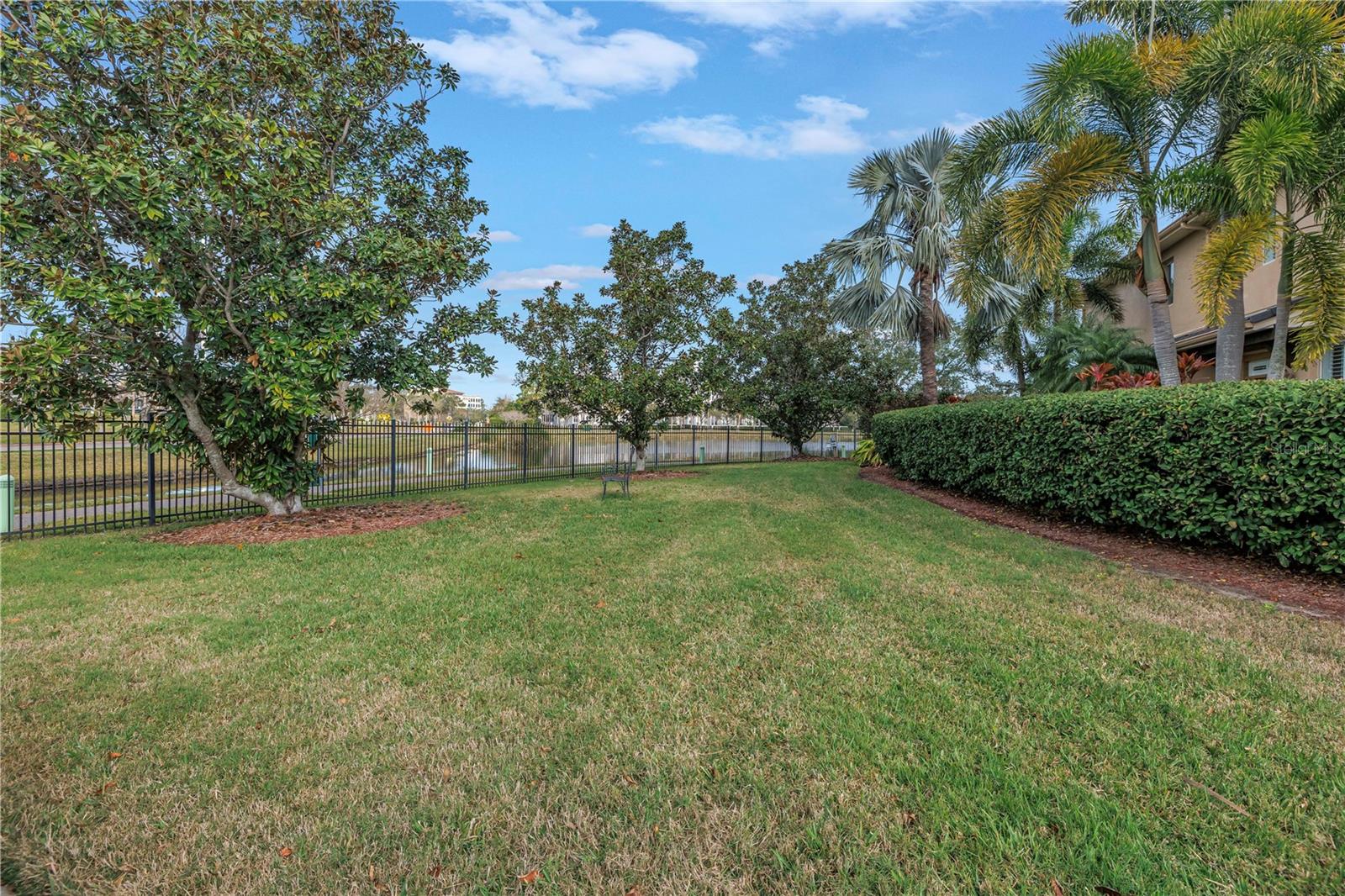 Side yard - this is your opportunity space for a pool