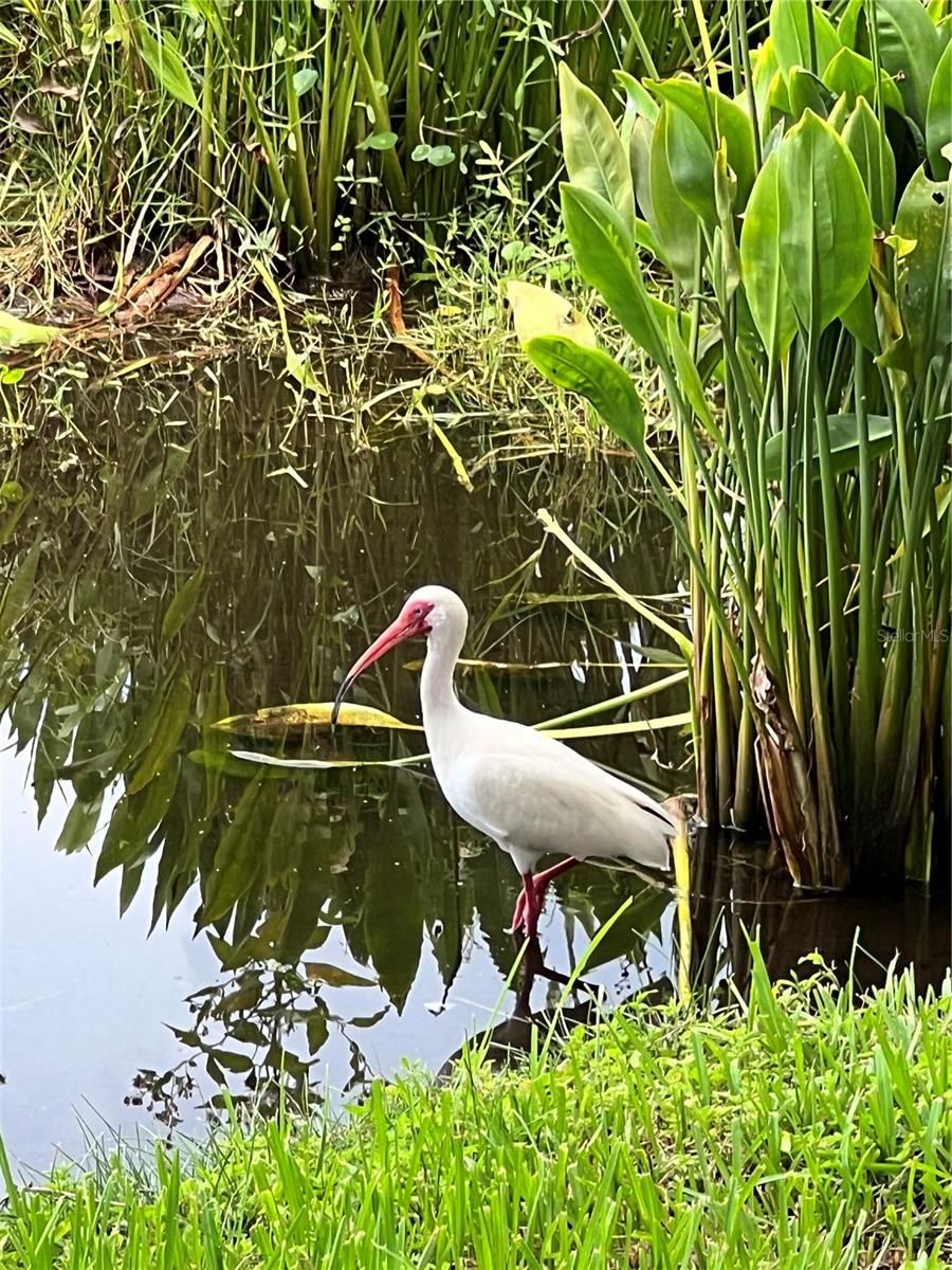 More nature surrounding your new home