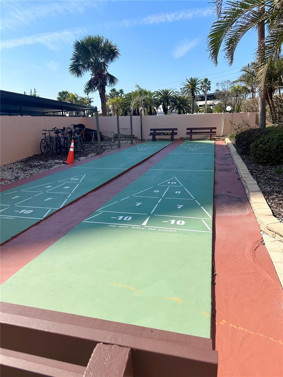 Shuffleboard