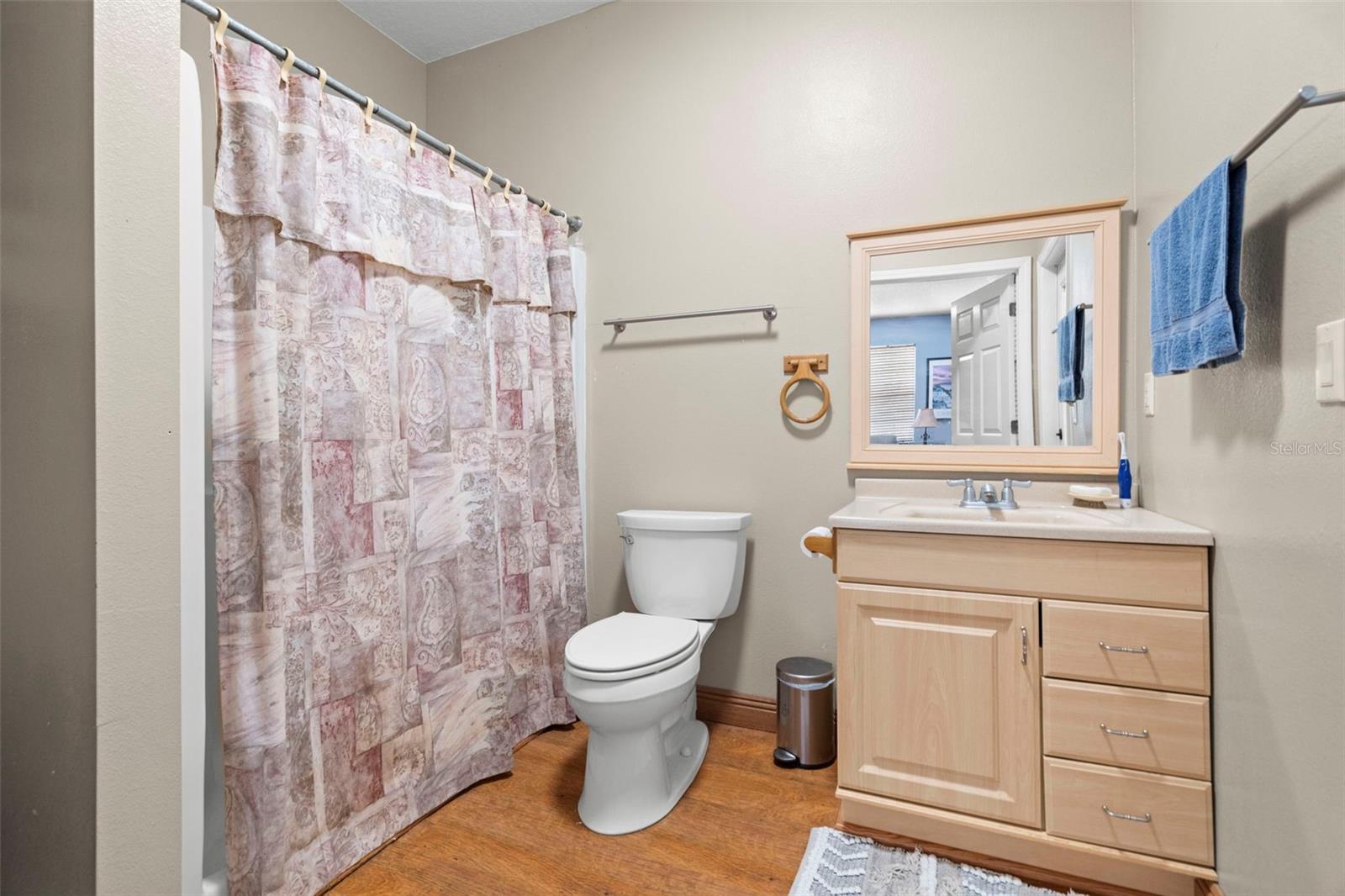 Lower level bathroom