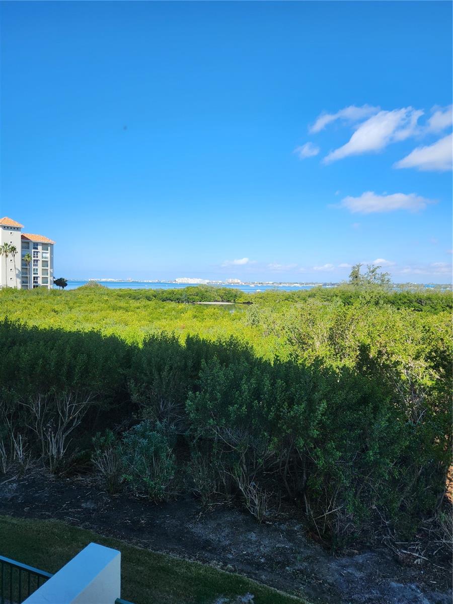 View Of Boca Ciega Bay