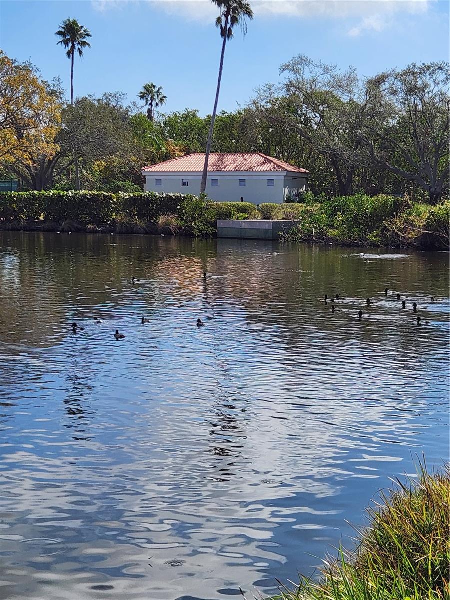 Spoonbill Lake