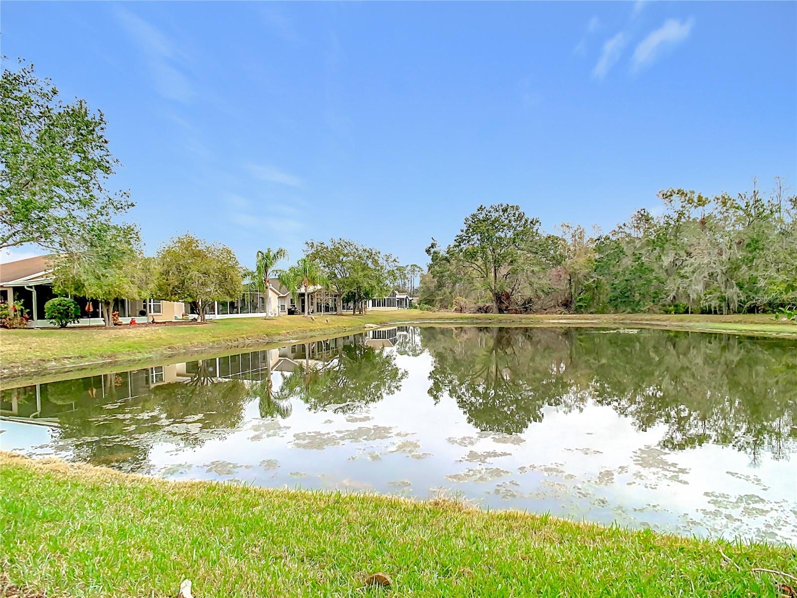 Beautiful backyard pond with trees in the distance - great for enjoying animals and nature